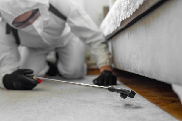 Professional Cockroach Control technician working in New Bedford, MA